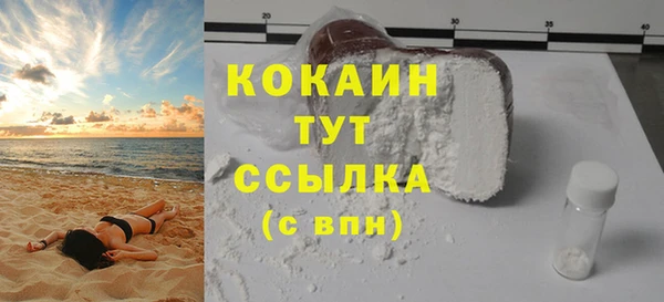 спиды Богородицк
