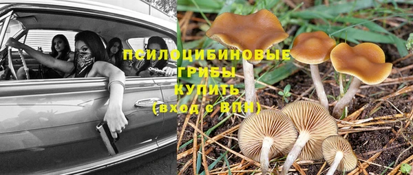 спиды Богородицк