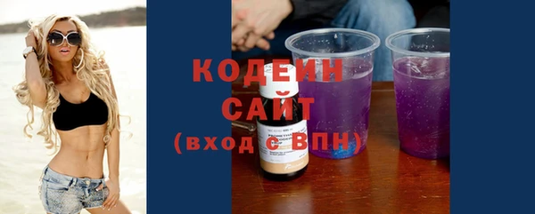 спиды Богородицк