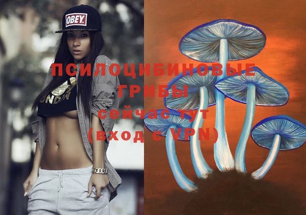 спиды Богородицк