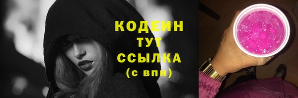 спиды Богородицк