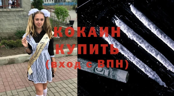 спиды Богородицк