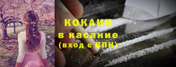спиды Богородицк